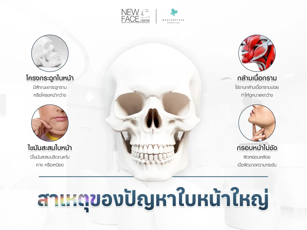สาเหตุของการเกิดปัญหา หน้าใหญ่ หน้าบาน